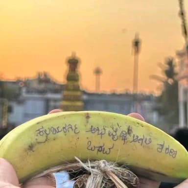 ಕಲಬುರಗಿ: ಕಲಬುರಗಿ ಅಭಿವೃದ್ಧಿ ಆಗಲಿ: ಬಾಳೆಹಣ್ಣಿನ ಮೇಲೆ ಬರೆದು ಶರಣಬಸವೇಶ್ವರರ ರಥೋತ್ಸವ ಮೇಲೆ ಎಸೆದ ಭಕ್ತ