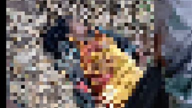 ವಾಲ್ನೂರು ತ್ಯಾಗತ್ತೂರಿನಲ್ಲಿ ಕಾಡಾನೆ ದಾಳಿ, ಮಾಜಿ ಗ್ರಾ.ಪಂ. ಸದಸ್ಯೆ ಬಲಿ