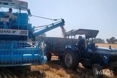 कन्नौद: कन्नौद में मजदूरों की कमी से किसान एक ही मशीन से निकाल रहे गेहूं व भूसा