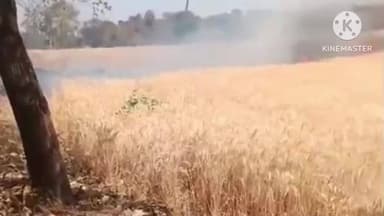 अमरवाड़ा: कोंडरा में अज्ञात कारणों से किसानों के खेत में लगी आग, लाखों का नुकसान, मुआवजे की गुहार