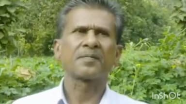 ડાંગના આંબાપાડા ગામના ખેડુતે પારંપારીક ખેતી સાથે બાગાયતી કારેલાની ખેતીમાં મબલખ પાક લણ્યો