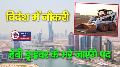 हिमाचल के युवाओं के लिए विदेश में नौकरी, हैवी ड्राइवर के भरे जाएंगे पद | Himachal | Job |