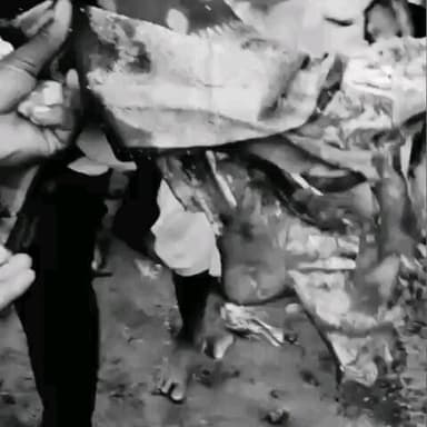 ಕಲಬುರಗಿ: ತಾಯಿ ಚಿಕಿತ್ಸೆಗೆ ಹಣ ಸಹಾಯ ಬೇಕು: ರಥದ ಚಕ್ರದಡಿ ಕಾಲು ಕಳೆದುಕೊಂಡ ಮಹಿಳೆ ಪುತ್ರ ನಗರದಲ್ಲಿ ಮನವಿ