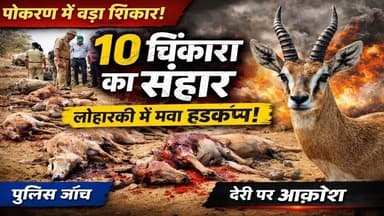 पोकरण में 10 चिंकारा का शिकार! लोहारकी में सनसनी
#rajasthannews
#pokarannews
#chinkarahunting
#wildlifecrime
#rajasthan...