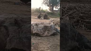 tu agar meri #amgaon #news #balaghat #dekhahazarodafaa #hindinews