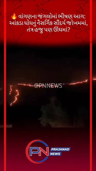 🔥 વાંગણના જંગલોમાં ભીષણ આગ: આંકડા ધોધનું નૈસર્ગિક સૌંદર્ય જોખમમાં, તંત્ર હજુ પણ ઊંઘમાં?