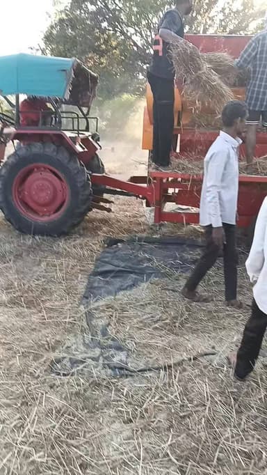 किसानों के खेत कलीहायानो में गेहूं की फसल पक के तैयार हो चुकी है सब किसान उसके साफ सफाई में लग चुके है अब हमारे 84 विधा...