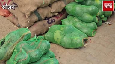 10 मार्च 2026 को हिमाचल की सोलन सब्जी मंडी में भाव
हिमाचल समय - Himachal Samay Media #educationalcontent #HimachalNews #...