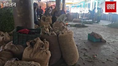 मटर के न्यूनतम रेट में गिरावट आने से किसान मायूस
हिमाचल समय - Himachal Samay Media #educationalcontent #HimachalNews #hi...