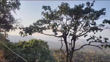 अमरकंटक ‘वॉटरफॉल माउंटेन ट्रैक’ की चार दिवसीय साहसिक यात्रा संपन्न
जिला प्रशासन अनूपपुर एवं इंडिया हाईक के सहयोग से हुई...