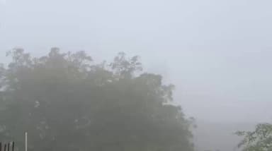 #हापुड़
⏩मार्च के महीने में घने कोहरे की दस्तक
⏩कोहरे की सफेद चादर से ढका हापुड़
⏩कई दिनों से निकल रही तेज धूप के बा...