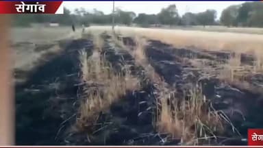 सेगांव: बिजली शॉर्ट सर्किट से बाड़ियापुरा में किसान की गेहूं फसल राख, 20 हजार का नुकसान #शॉट सर्किट #बिजली #आग #किसान #सेगावन्यू