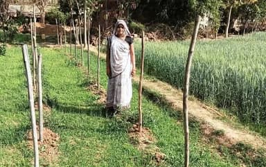 ग्राम पंचायत कुवांरी की निवासी श्रीमती आरती सिंह ने मेहनत और दृढ़ संकल्प से आत्मनिर्भरता की मिसाल पेश की है। स्वयं सहायत...