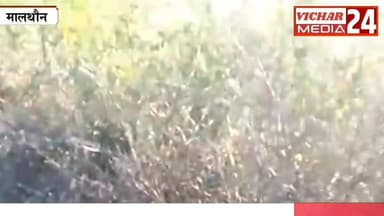 आखिरकार भैंस को क्या हुआ कि किसान थाने पहुंच गया, जानिए #khurai #KhuraiNews #KhuraiVidhansabha #malthone #police #pashum...