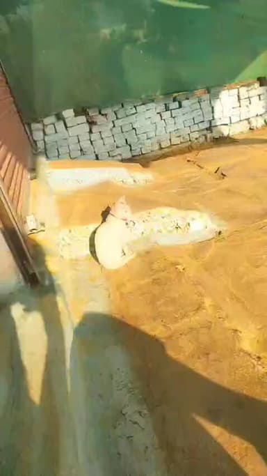 संपर्क करे 9301151244,7999625300