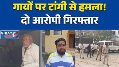 रीवा:अतरैला में गायों पर क्रूर हमला, आधा दर्जन मवेशी घायल ग्रामीणों में आक्रोश #RewaNews
#RewaCrime
#Atraela
#MPNews
#Ma...