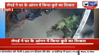 देसूरी क्षेत्र में मंगलवार रात एक लेपर्ड ने घर के आंगन में घुसकर एक कुत्ते का शिकार किया। यह घटना देसूरी की सेली माता कॉ...