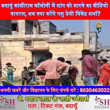 बदायूं कांशीराम कॉलोनी में सांप को मारने का वीडियो वायरल, अब क्या करेंगे पशु प्रेमी विकेंद्र शर्मा? | #BadaunNews #Viral...