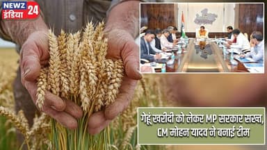गेहूं खरीदी को लेकर MP सरकार सख्त, CM मोहन यादव ने बनाई टीम | #Mohan_Yadav | Wheat Procurement