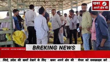 मोहन बड़ोदिया कृषि उपज मंडी में बुधवार को गेहूं,मसूर,चना,सरसों और सोयाबीन की रही आवक