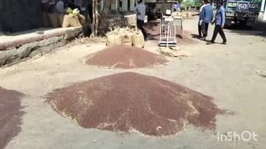 कुम्हेर: डीग जिले में न्यूनतम समर्थन मूल्य पर खरीद, राज फेड के माध्यम से 15 मार्च से रजिस्ट्रेशन और 25 मार्च से शुरू होगी खरीद