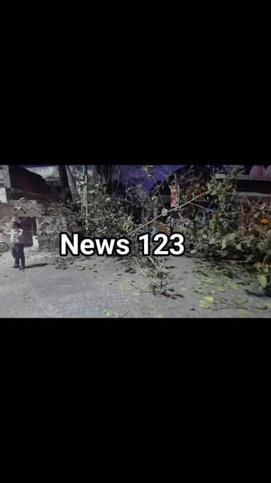 ज्वालामुखी में ट्रैफिक लाइट चौंक पर भरी भरकम पेड़ गिरा
#News123