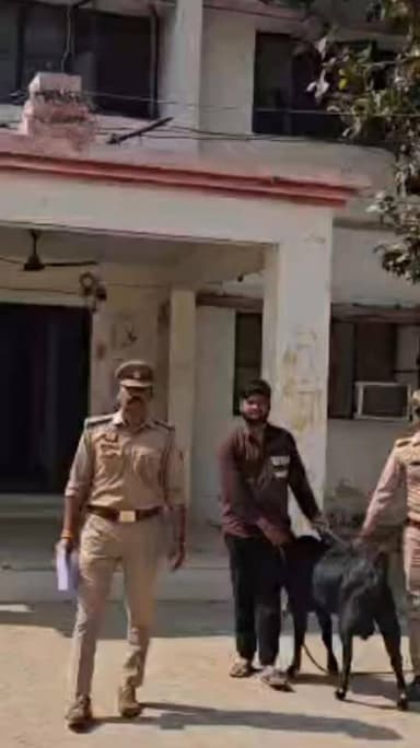 कोतवाली कालपी पुलिस द्वारा एक वांछित अभियुक्त को गिरफ्तार कर विधिक कार्यवाही की गयी ।