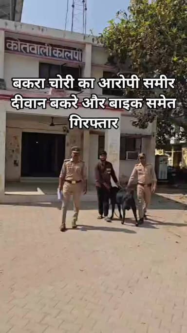 कालपी पुलिस ने बकरा चोरी के मामले में बड़ी कार्रवाई करते हुए एक वांछित अभियुक्त को गिरफ्तार कर लिया।
मुखबिर की सटीक सू...