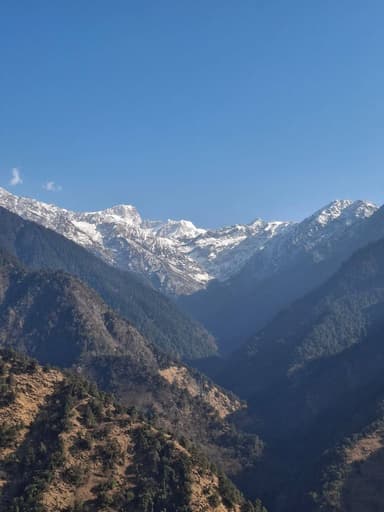 मेरी माया रौली 🫰❤️
@phulari.foundation