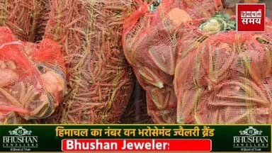 12 मार्च को सोलन सब्जी मंडी में भाव
हिमाचल समय - Himachal Samay Media #vikrmadityesingh #solansubjimandi #HimachalNews