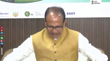 Gemini said
AI प्लेटफॉर्म 'भारत विस्तार' लॉन्च! अब एक कॉल पर अपनी भाषा में पाएं कृषि संबंधी सटीक जानकारी। 🌾📞