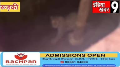 शिकार बनकर गहरे कुएं में गिरा शिकार करने आया खतरनाक गुलदार - वन विभाग ने चलाया रेस्क्यू ऑपरेशन - वीडियो हुआ वायरल
#Uttar...