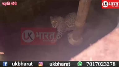 गुलदार की दहाड़ से दहला भौंरी गांव, 15 फीट गहरे कुएं से रेसक्यू कर निकाला बाहर, राहत की सांस.... #ukbharat #roorkee #har...