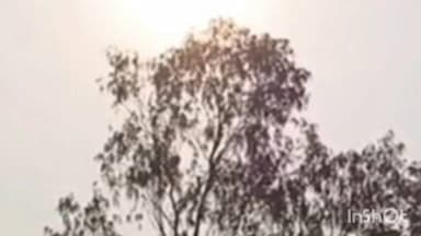 चित्तौड़गढ़: वेस्टर्न डिस्टेंस के चलते 14 और 15 मार्च को जिले के कुछ हिस्सों में हल्की बारिश और आंधी चलने का अनुमान