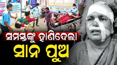 ଖଣ୍ଡା ଚୋଟରେ ଖୁଡୀ-ଭାଉଜ-ପୁତୁରା ଗୁରୁତର, ଘରକଳି ପାଇଁ ୩ଜଣକୁ ହାଣିଲା ଘରର ସାନପୁଅ | Niali