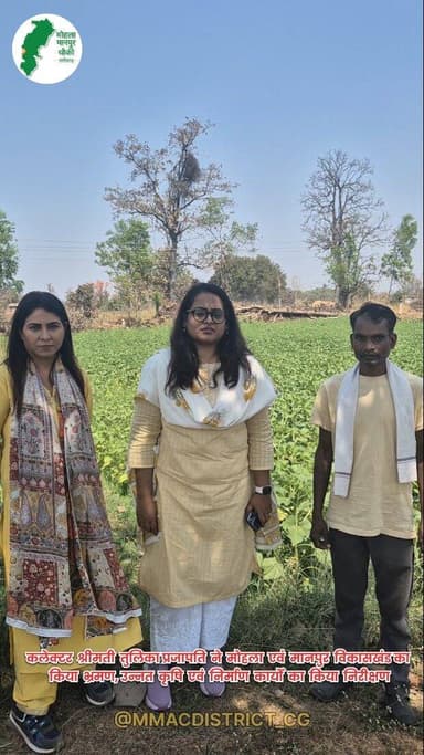 कलेक्टर श्रीमती तुलिका प्रजापति ने आज विकासखंड मोहला एवं मानपुर का भ्रमण किया। इस दौरान उन्होंने उन्नत कृषि, उद्यानिकी फ...