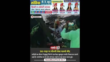 ऊंट-गाड़ा पर बीनणी लेबा चाल्यो बींद, वीडियो हो रहा वायरल #rajasthan #wedding