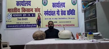 देशी वा जैविक लौकी 8-10 किलो तक के होता है 1 और ये 1 पौधा से 500 किलो तक निकलता है।