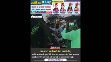 ऊंट-गाड़ा पर बीनणी लेबा चाल्यो बींद, वीडियो हो रहा वायरल #viralwedding #wedding #marriage #jhunjhunu