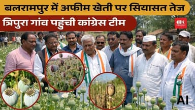 बलरामपुर में अफीम खेती पर सियासत तेज, त्रिपुरा गांव पहुंची कांग्रेस टीम #congress #bjp #vishnudesai
