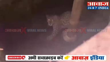 #रुड़की रेंज के #ग्राम_भौंरी में 15 फीट गहरे कुएं में गिरा #गुलदार ! #वन_विभाग ने #ट्रेंकुलाइज कर सुरक्षित निकाला बाहर
#...