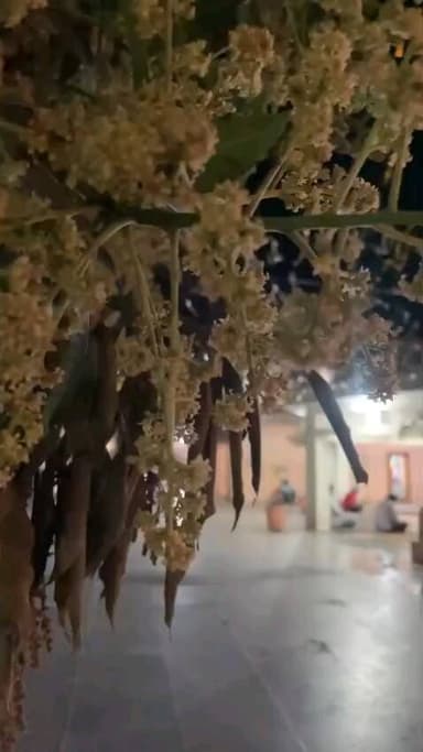 kHANNA TIMES NATIONAL NEWS PAPER