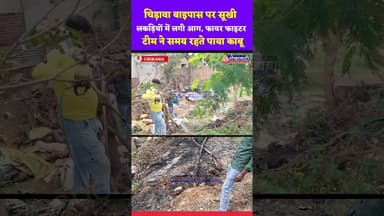 चिड़ावा बाइपास पर सूखी लकड़ियों में लगी आग, फायर फाइटर टीम ने समय रहते पाया काबू #chirawa #aag #fire