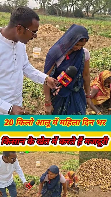20 किलो आलू में महिला दिनभर करती है मजदूरी #viralvideo #trendingvideo #facebookviralvideo #facebookreelsviral #mahila