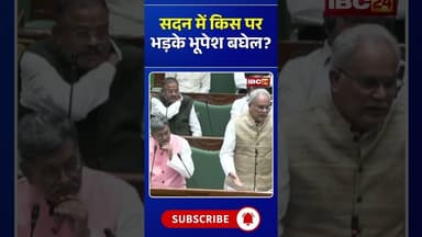 सदन में किस पर भड़के भूपेश बघेल? #bhupeshbaghel #ramvicharnetam #cgnews #cgvidhansabha #chhattisgarh