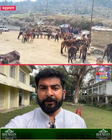 केदारनाथ यात्रा को लेकर अब तक 1500 घोड़े-खच्चरों का हुआ पंजीकरण और फिटनेस, करीब सात हजार का होना बाकी, माइक्रोचिपिंग, टैग...