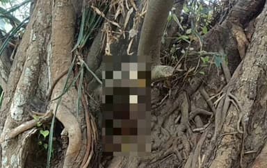 ବାଲେଶ୍ବର ସଦର: ନୂଆପୁର ଠାରେ ଗଛରେ ବୃଦ୍ଧଙ୍କ ଝୁଲନ୍ତା ଅବସ୍ଥାରେ ମୃତଦେହ ଉଦ୍ଧାର