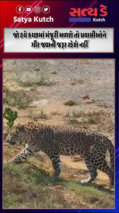 જો હવે કચ્છમાં મંજૂરી મળશે તો પ્રવાસીઓને ગીર જવાની જરૂર રહેશે નહીં