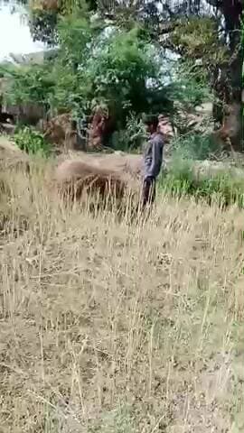 #please follow me 🙏
#likeandsubscribe