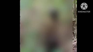 কৈলাশহর: কৈলাসহর পঞ্চমনগর এলাকার এক ব্যক্তির গভীর জঙ্গল থেকে ঝুলন্ত পঁচা গোলা মৃতদেহ উদ্ধার হয়